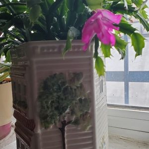 Meet your Posher, Rafael